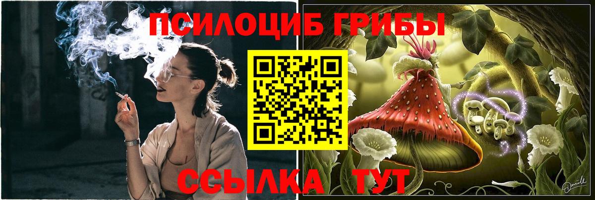 Псилоцибиновые грибы Psilocybine cubensis Крымск