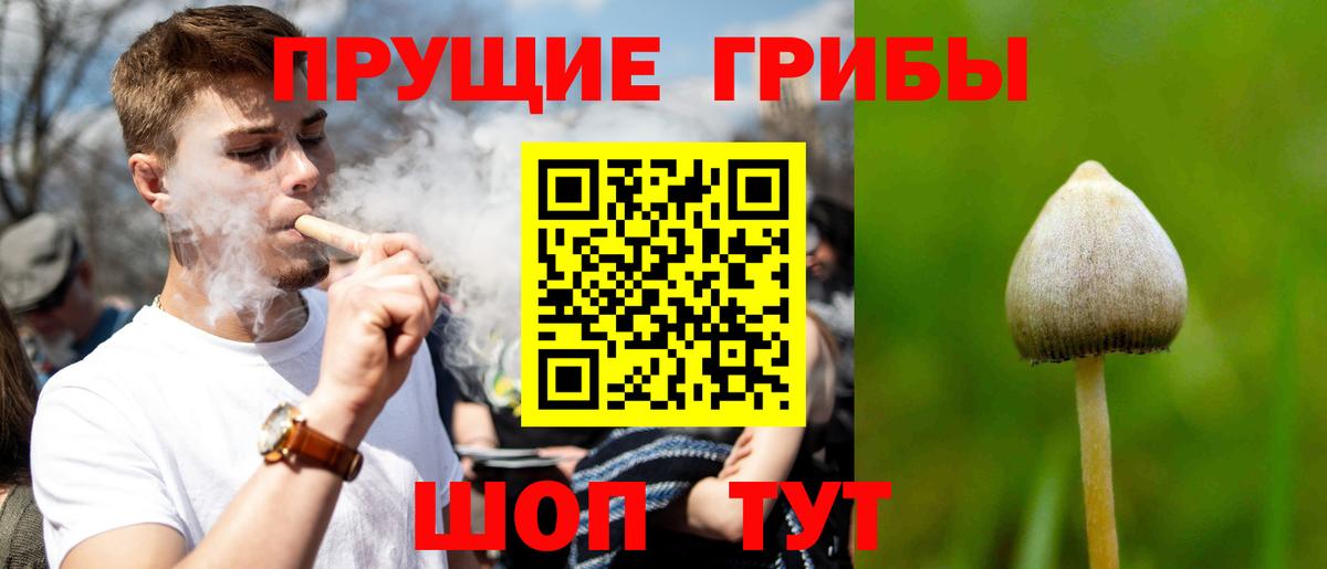 Крымск  где продают   Вход с VPN  Псилоцибиновые грибы прущие грибы 